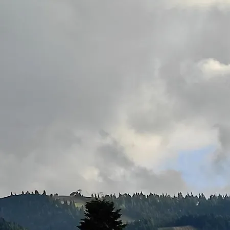 Iglika 2 Snowy Night V 31 * بوروفتس