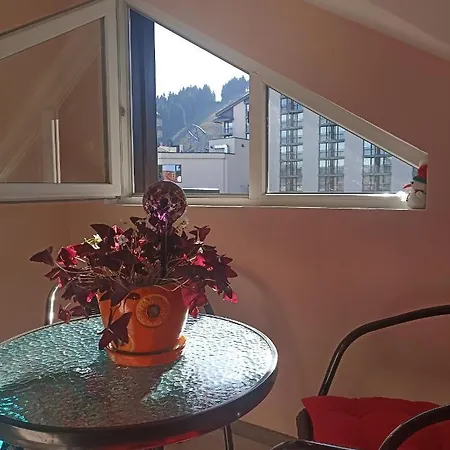 Iglika 2 Snowy Night V 31 * بوروفتس