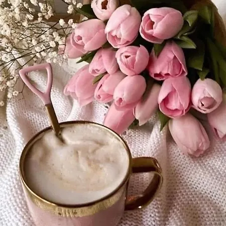 Iglika 2 Snowy Night V 31 * بوروفتس