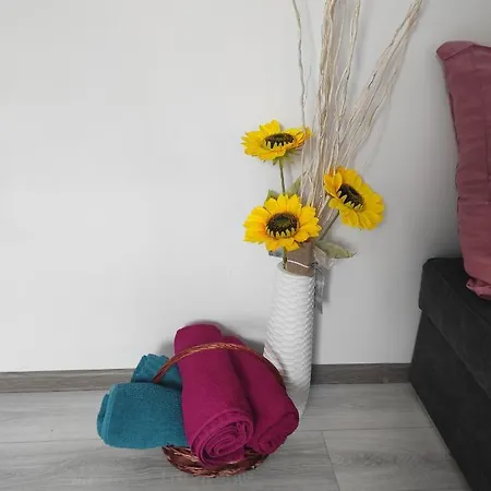 Iglika 2 Snowy Night V 31 بوروفتس