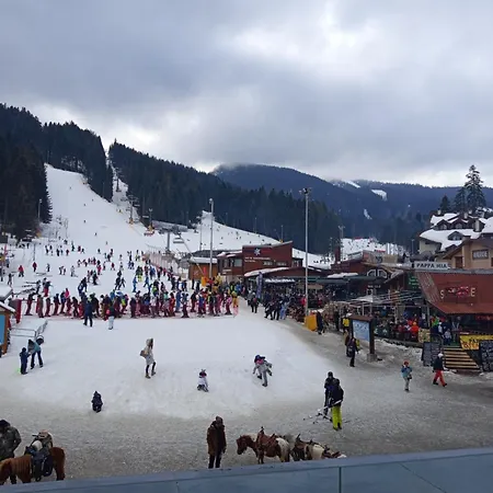 Iglika 2 Snowy Night V 31 *