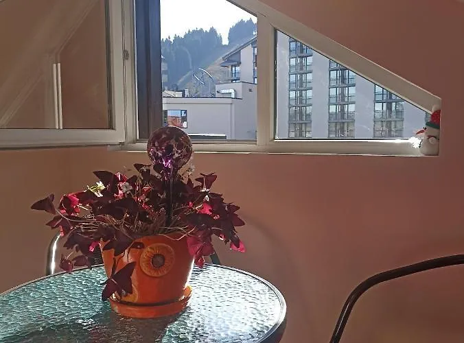 Iglika 2 Snowy Night V 31 * Borovets