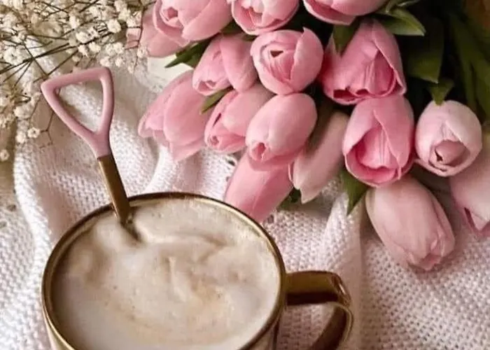 Iglika 2 Snowy Night V 31 * Borovets