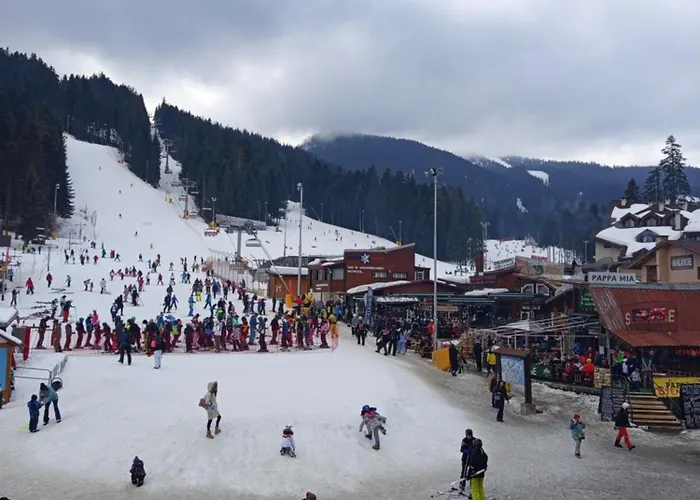 Iglika 2 Snowy Night V 31 *